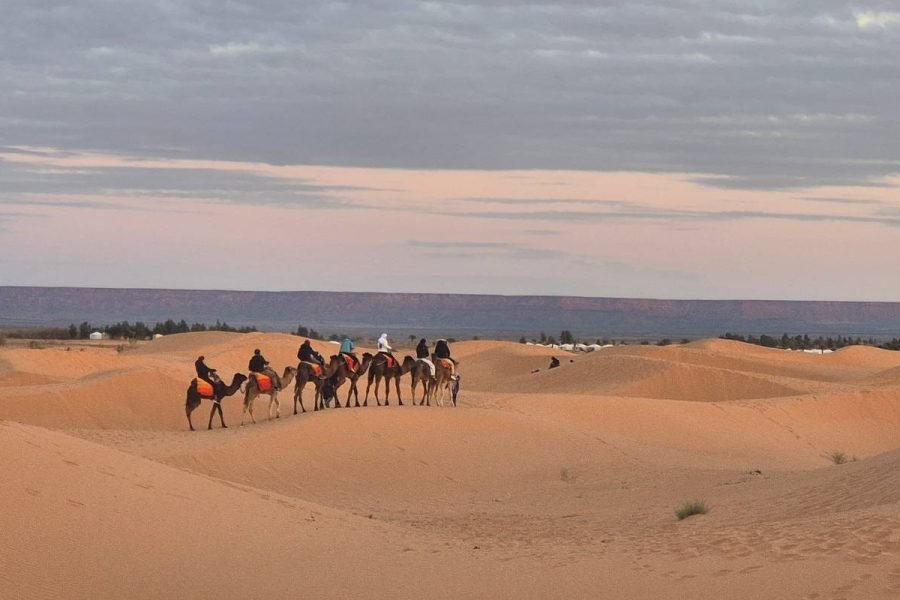 5 Day Tour - Casablanca, Marrakesh